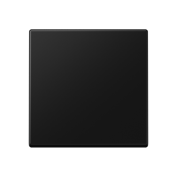 Klavišas juodos matinės spalvos A - JUNG A590SWM