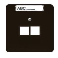 Dangtelis dvigubas RJ45 lizdui rudas CD - JUNG CD569-2NWEBR
