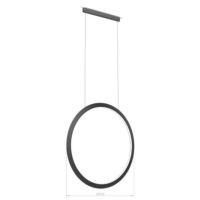 Pakabinamas šviestuvas Circular Vertical Inward ø900 Recessed