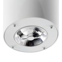 Šviestuvo ventiliatoriaus detalė OPTIONAL LIGHTING KIT, BRIGHT WHITE