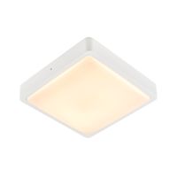 Lauko LED pavišinis sieninis ir lubinis šviestuvas AINOS kvadratinis, baltas, 3000/4000K