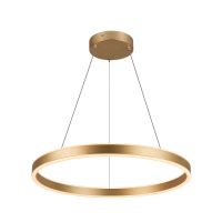 Pakabinamas LED šviestuvas ONE 60 PD PHASE up/down, žalvario sp.,24W 2700/3000K 130°