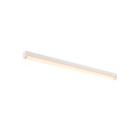 Sieninis arba lubinis paviršinis LED šviestuvas BENA, 3000K, baltas, L/W/H 120/6.5/7.4 cm