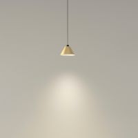 Pakabinamas šviestuvas D-Track Conic Cable 2200mm