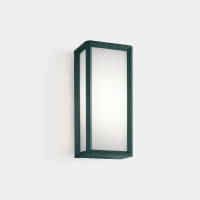 Sieninis šviestuvas  IP65 SKAT LED LED 21.8.,NAW SW 2700-3200-4000K ON-OFF FIR GREEN 1266