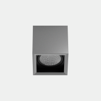 Šviestuvas downlight MULTIDIR SURFACE BIG 8W GREY IN IP20 / OUT IP54 Grey, Transparent