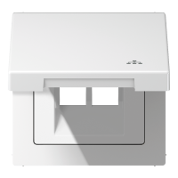 Dangtelis UAE lizdui su uždengimu ir LAN simboliu baltos spalvos LS - JUNG LS990BFKLLANWW