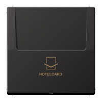 Dangtelis kortelinio jungiklio HOTELCARD aliumininis dark spalvos LS - JUNG AL2990CARDD