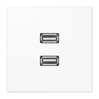 Lizdas potinkinis dvigubas USB 2.0 baltos spalvos LS - JUNG MALS1153WW