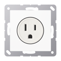 Kištukinis lizdas potinkinis baltas 15A/125V US-Norm A - JUNG A521-15WW