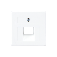 Dangtelis viengubas UAE lizdui 50x50 baltas - JUNG 169-1UAEWW