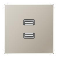 Lizdas potinkinis dvigubas USB 2.0 nerūdijančio plieno spalvos LS - JUNG MAES1153