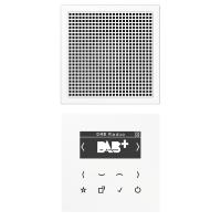 Imtuvas radio DAB su ekranu mono rinkinys LS - JUNG DABLS1WW
