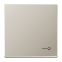 Dangtelis TAE/USB lizdui plieninis LS - JUNG ES2990T