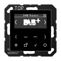 Radijas skaitmeninis DAB + A - JUNG DABASW