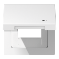 Dangtelis su uždengimu USB lizdui LS - JUNG LS990BFKLUSBWW