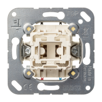 Mygtukas viengubas su atskiru kontaktu 10A/250V - JUNG 534U
