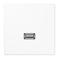 Lizdas potinkinis USB 2.0 baltos spalvos LS - JUNG MALS1122WW