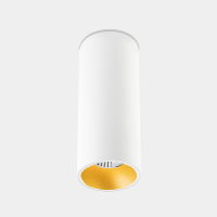 Šviestuvas downlight PLAY SURFACE 11.9W LED WARM-WHITE 2700K CRI 90 19.1º DALI-2 WHITE/GOL