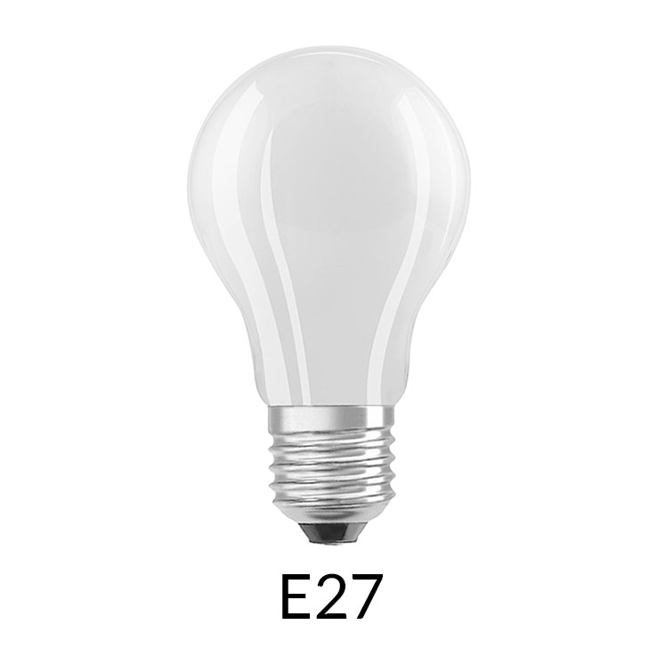 E27 LED lemputės